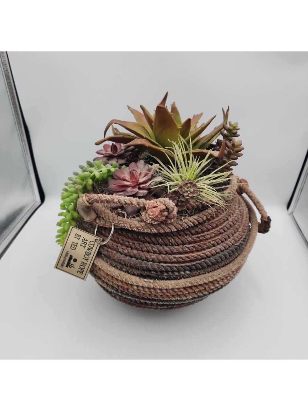 Cowboy Rope Art By Ted Faux Cactus Planter 10T X 12W